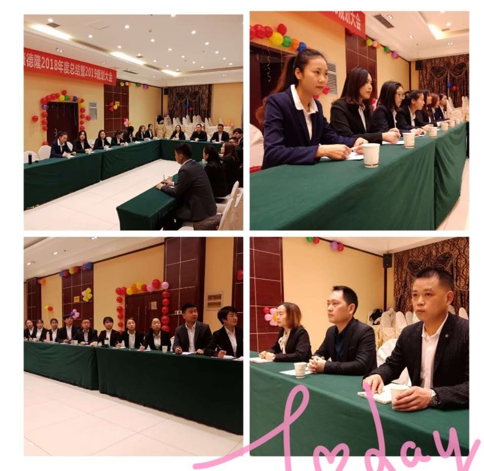 創(chuàng)新發(fā)展 再創(chuàng)輝煌--德隆公司2018年度總結暨2019規(guī)劃大會圓滿召開